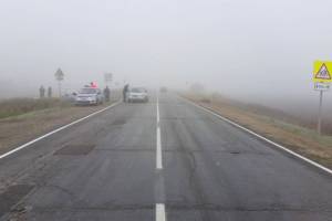 Из сплошного тумана появилась корова: на астраханской трассе водитель врезался в животное
