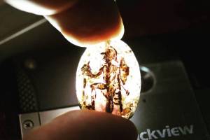 Античные геммы, найденные в астраханских песках, изучат в Эрмитаже