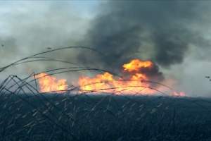 Борьба с пожарами в дельтовой части Астраханской области взята на контроль