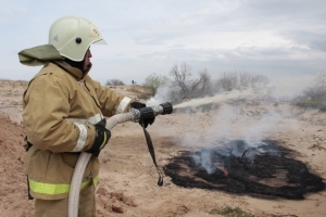 На втором этапе учений пожарные и спасатели ликвидировали возгорание сухой растительности.