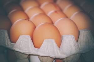 По 300 яиц приходится на каждого астраханца