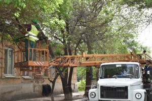 В МБУ Астрахани «Зелёный город» проводится служебная проверка