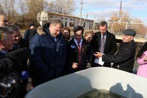 Губернатор Астраханской области Игорь Бабушкин выпустил в реку молодых осетрят