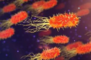 Ученые заявили о глобальной эпидемии суперинфекций
