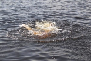 В Астрахани из воды достали тело утонувшего водолаза