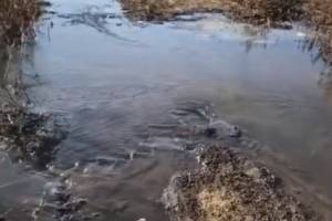 «Вода так и прёт!»: астраханцы сняли на видео аномалию