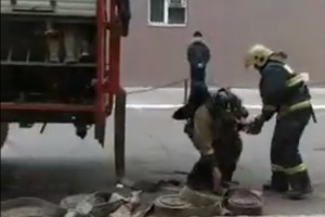Из-за пожарно-тактических учений в центре Астрахани серьезный затор