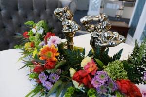 Астраханских призёров “ТЭФИ” поздравил губернатор