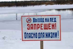 В Астрахани собака вмёрзла в лёд