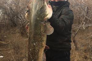Астраханец сразился с двадцатипятикилограммовой рыбой 31 декабря и победил