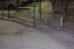Дождались. В Астрахани выпал первый снег