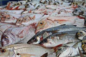 Крупную партию рыбы задержали в Астраханской области