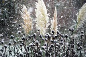 В Астрахани снова снег: какие сюрпризы готовит погода