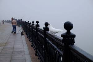 В Астрахани низкое давление и высокая влажность
