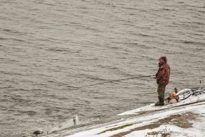 Рыбаки обнаружили в Волге мертвую рыбу