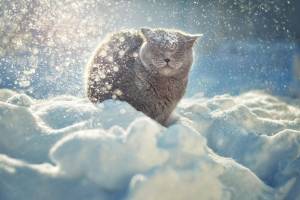 Нетипично тёплая зима: плюсы и минусы для нашего здоровья