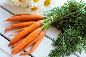 Как ускорить прорастание семян моркови?