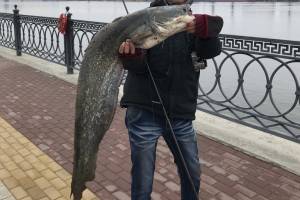 Фееричная рыбалка. Волгоградец прямо на центральной набережной Астрахани поймал крупного сома