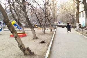В Астрахани мощное дерево свалилось на площадку с играющими детьми