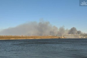 В Астраханской области горит камыш: дым стоит столбом