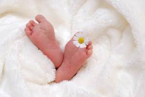 Госдума приняла закон о маткапитале на первого ребенка