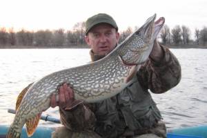 Астраханские рыбаки расчехляют спиннинги &#8212; клюют судак и щука