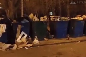 Без комментариев: контейнерная площадка на Татищева не справляется с объемом мусора