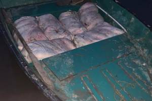 Под Астраханью задержали рыбаков с двумя тоннами сазана
