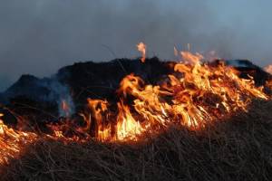 В Астрахани сняли на видео крупный пожар на ерике Казачий