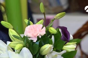 Какие цветы получат россиянки в подарок на 8 Марта
