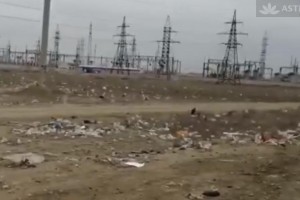 Без комментариев: село Три Протока завалило мусором