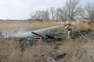 В Астраханской области выявляют поджигателей камыша и сорной травы