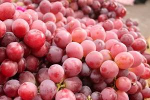 Астраханка посадила виноградные косточки из супермаркета и произошло чудо