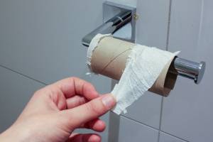 В США нашли замену туалетной бумаге