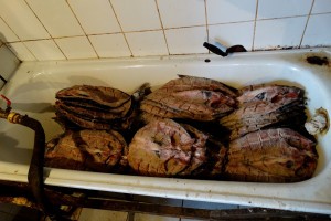 Астраханский бизнесмен готовил рыбу в подпольном цеху в антисанитарных условиях
