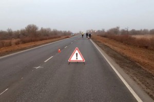 В Астраханской области лошадь с жеребёнком повредили два автомобиля