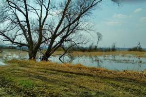 Весенний паводок в Астраханской области ожидается благоприятным