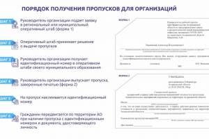 Спецпропуска в Астрахани начнут выдавать завтра: порядок получения для организаций