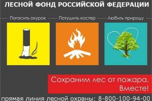 В Астрахани ограничено пребывание граждан в лесах