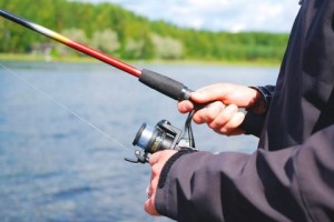 В Астраханской области запрещён туризм и рыбная ловля на территории водно-болотных угодий