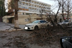 В центре Астрахани от сильного ветра валятся деревья и обрываются провода