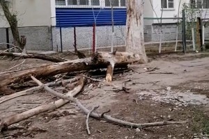 Без комментариев: Астраханцы столкнулись с чудовищными последствиями урагана