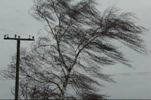 Шквалистый астраханский ветер оставил без электричества более 50 населенных пунктов