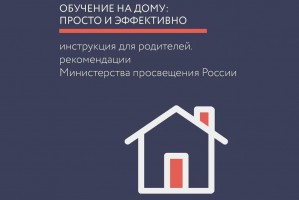 Обучение на дому: инструкция от Министерства просвещения