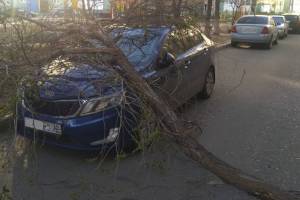 Последствия шквалистого ветра в Астрахани