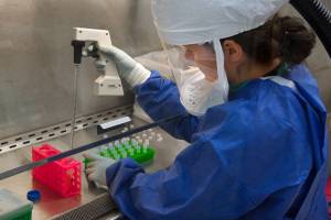 Ученые выявили подавляющий коронавирус за 48 часов препарат
