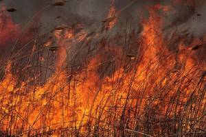 Крупный пожар полыхает в Астрахани