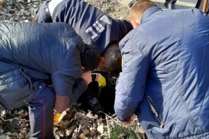Астраханские полицейские спасли щенка из колодца