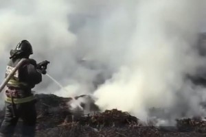 Без комментариев: в Астрахани сгорел один гектар камыша