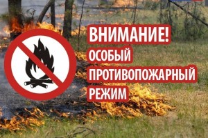 В Астраханской области вводят особый противопожарный режим